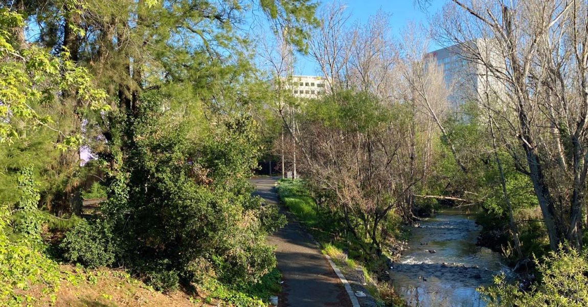 Redefining the role of the Guadalupe River Park in San Jose