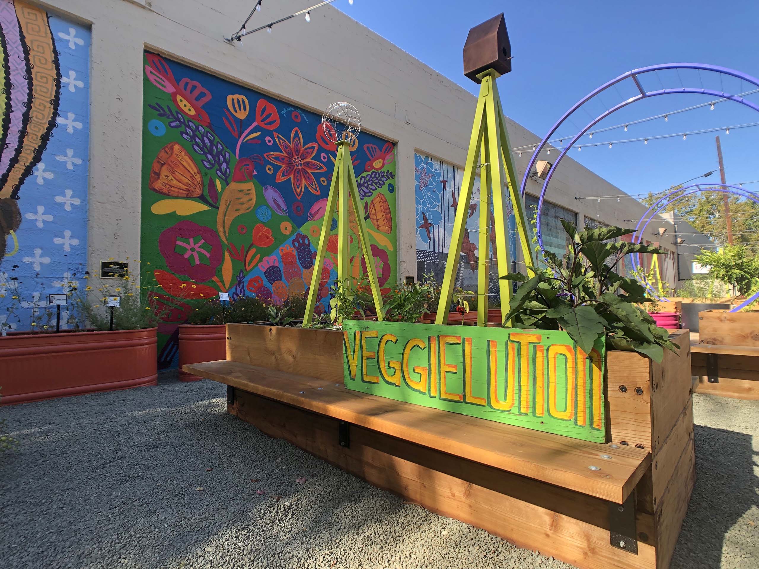 Cultivating community in San José’s SoFA pocket park Northern