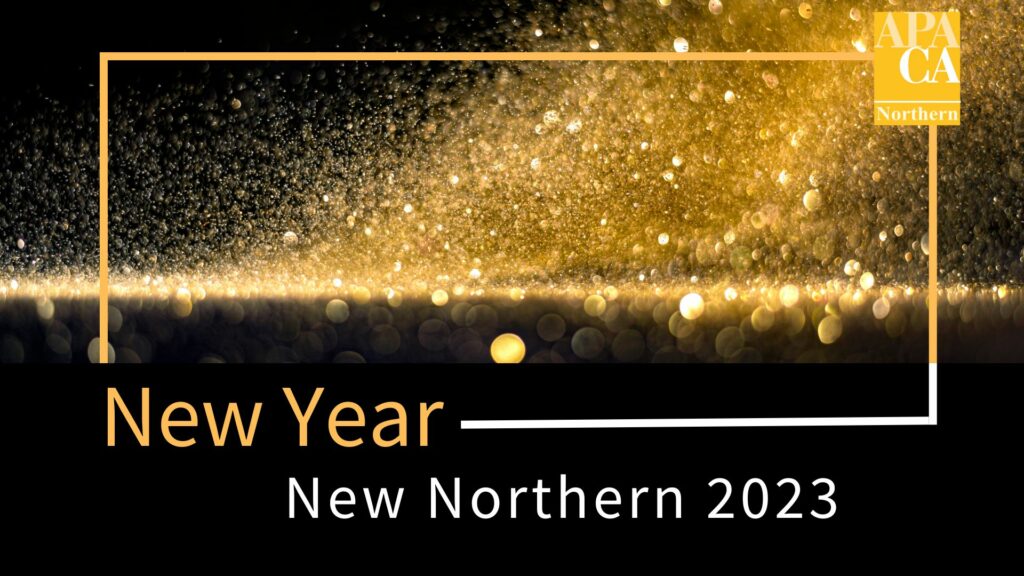 New Year | New Northern icon