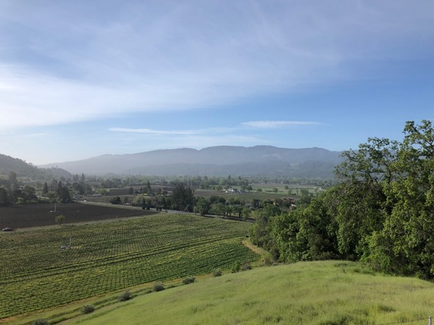 Napa Valley landscape viewed from Calistoga