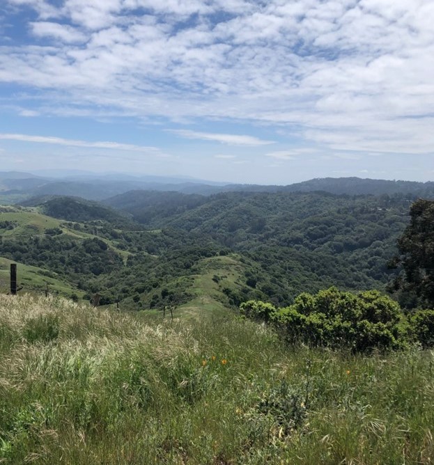 View of Sibley Volcanic Regional Preserve landscape