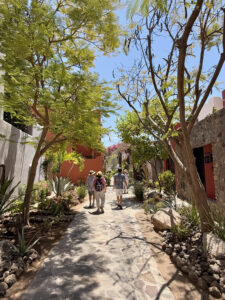 Typical car-free pedestrian avenue in Loreto Bay.
