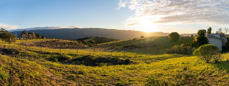 North Crestview Park is the last remaining undeveloped park site currently undergoing the master plan process_credit-City of San Carlos
