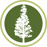 City of Palo Alto